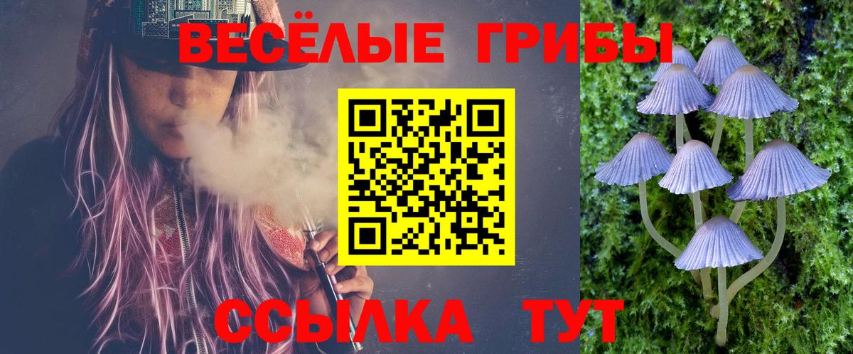 Псилоцибиновые грибы Magic Shrooms  сколько стоит  Среднеуральск  Вход с VPN 