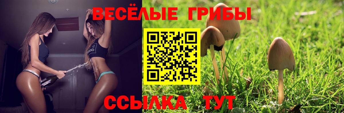 Галлюциногенные грибы GOLDEN TEACHER Среднеуральск